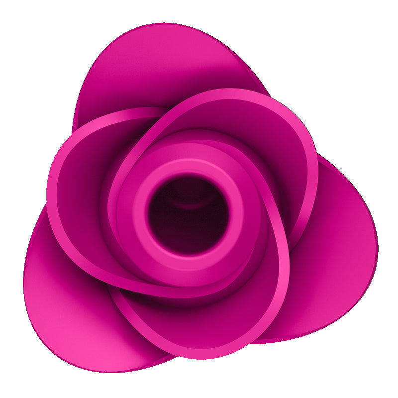 Satisfyer Pro 2 Classic Blossom Rose Vibrator