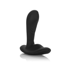 Picture of the Eclipse anal sex toy