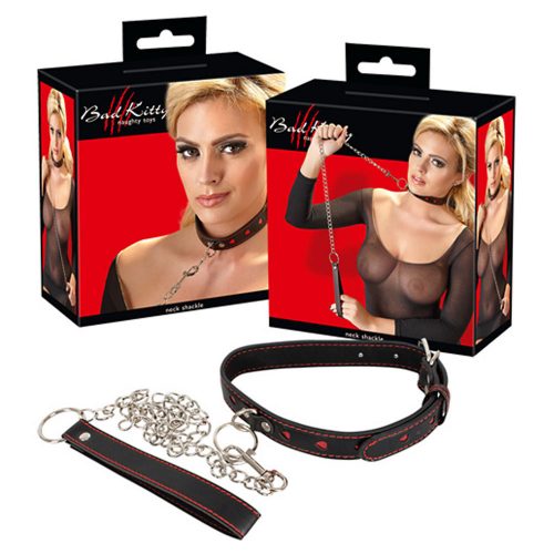 collar and leash displayed alongside box