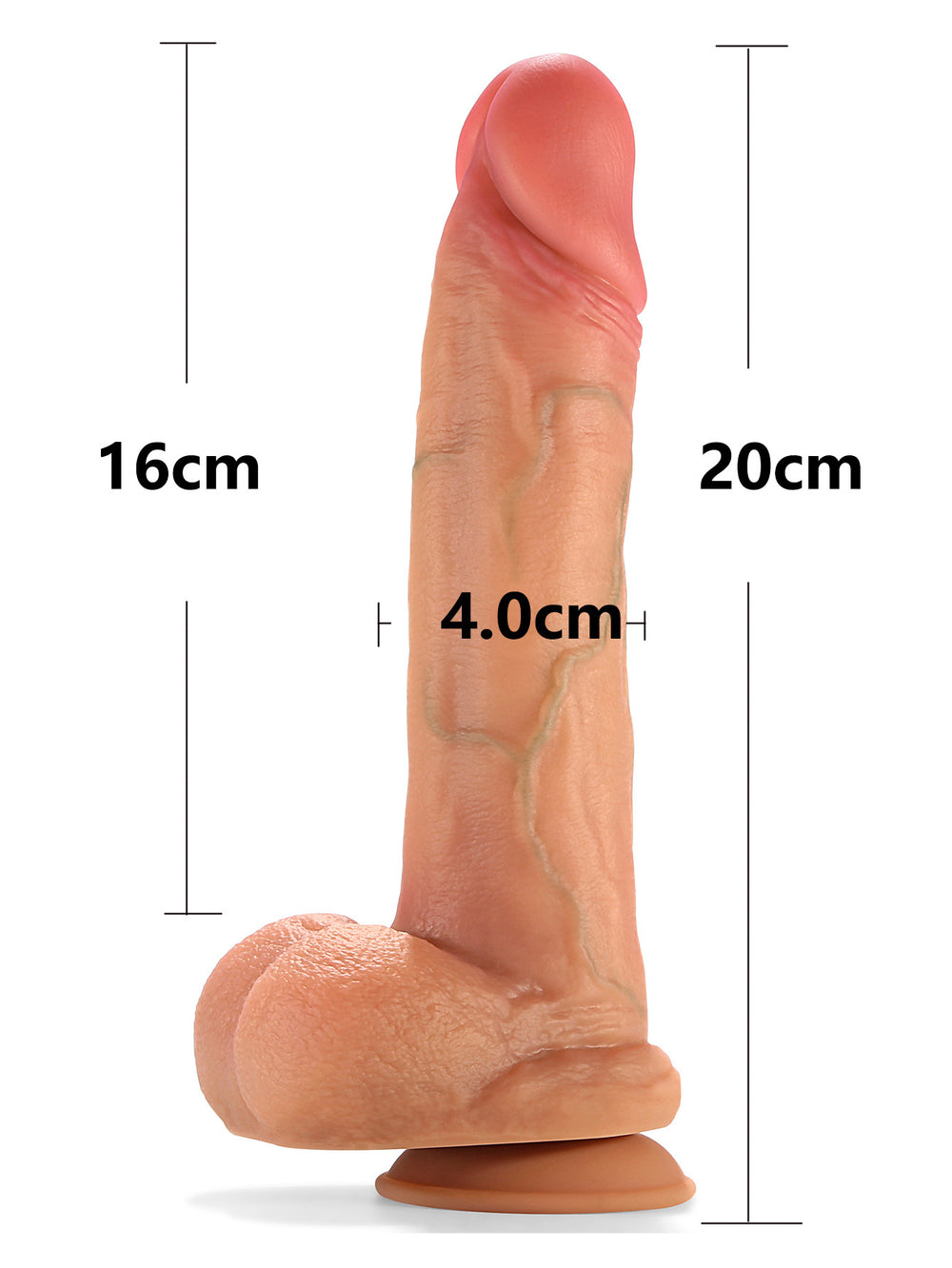 Jax 6 Inch Hyper Realistic Double Density Dildo Measurements