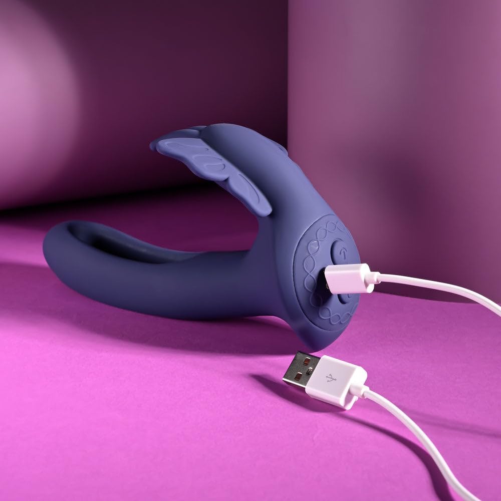 Lord of the Wings Charging View