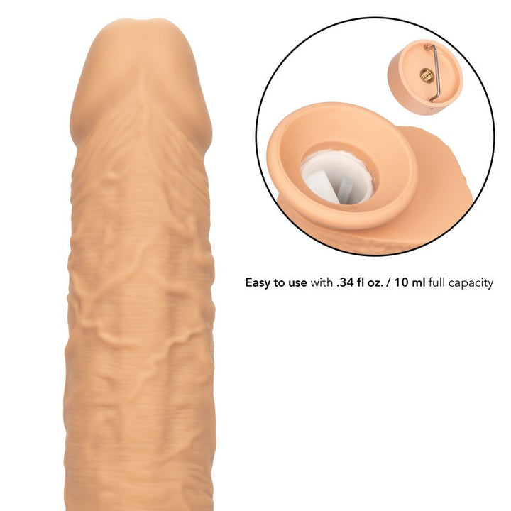 dong bottom displaying liquid compartment