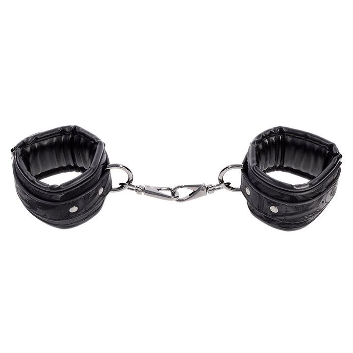 Handcuffs displayed outside of box at upper high angle