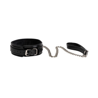 back view of luxury collar and leash