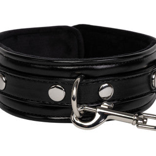 close  up of luxury collar