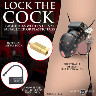 lock down chasity cage displaying locking system