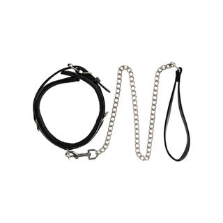 top inner view of luxury collar and leash